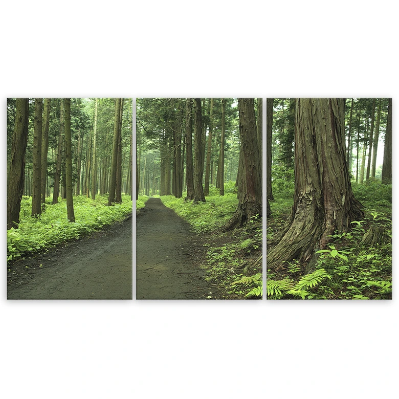 Leinwandbild 3-teilig, Wald Straße Bäume Natur 