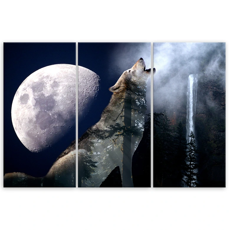 Leinwandbild 3-teilig, Wolf Natur Mond Nebel 