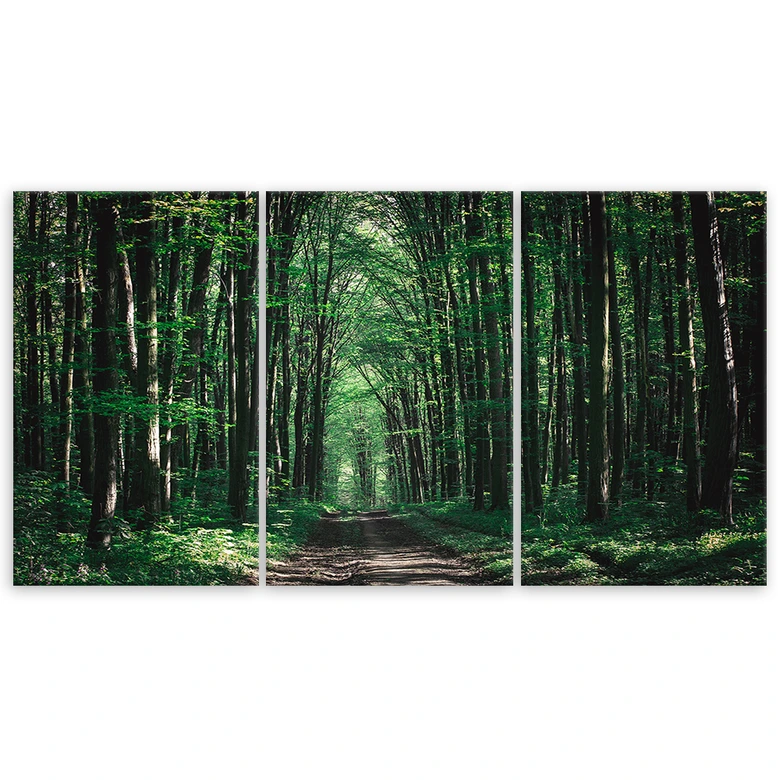 Leinwandbild 3-teilig, Waldgrün Natur 