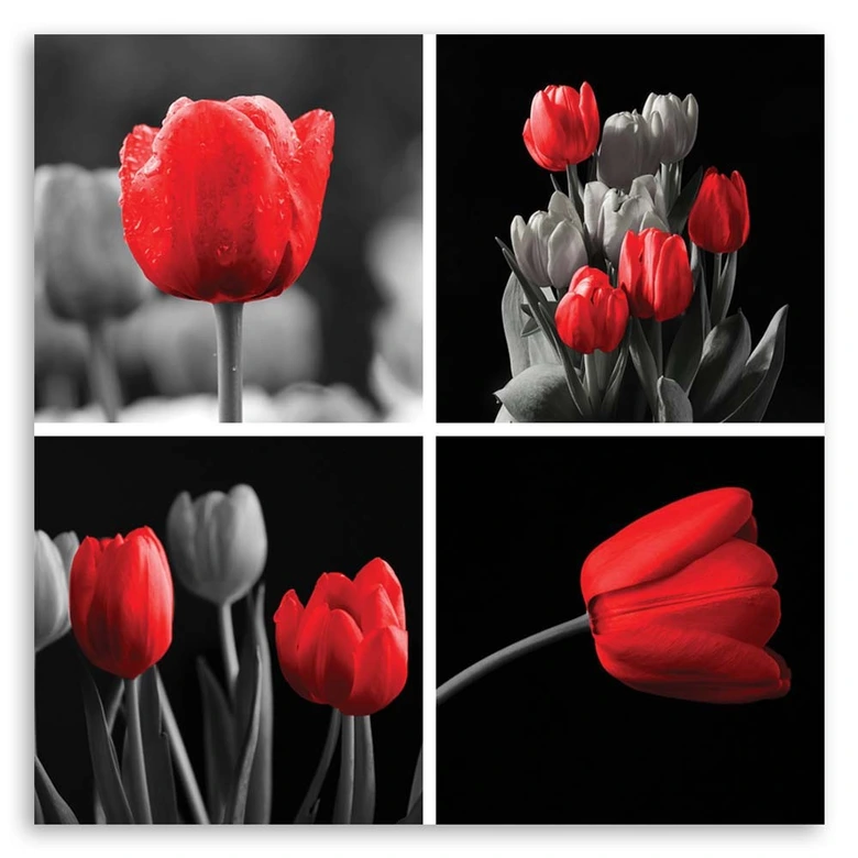 Leinwandbild, Rote Tulpen Blumen 