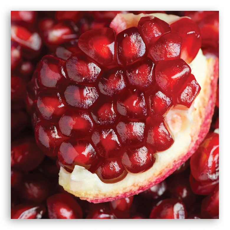 Tableau sur toile, Macro - fruit bleu marine 