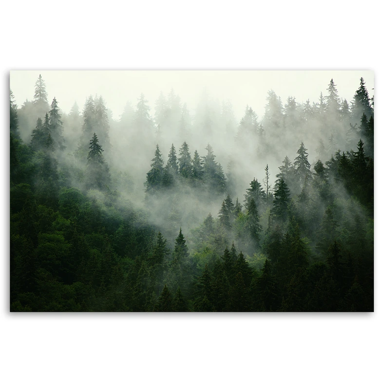 Leinwandbild, Wald im Nebel 
