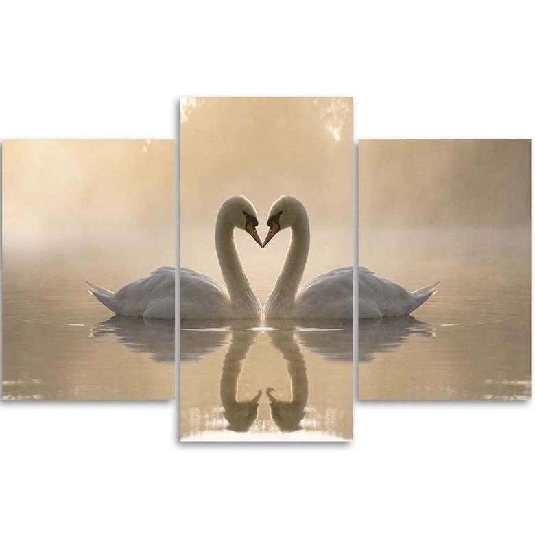 Leinwandbild 3-teilig, Schwan Vögel See 