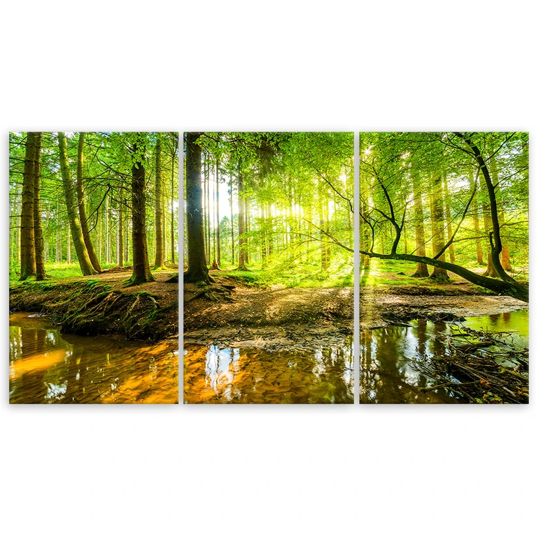 Leinwandbild 3-teilig, Waldsee Natur 