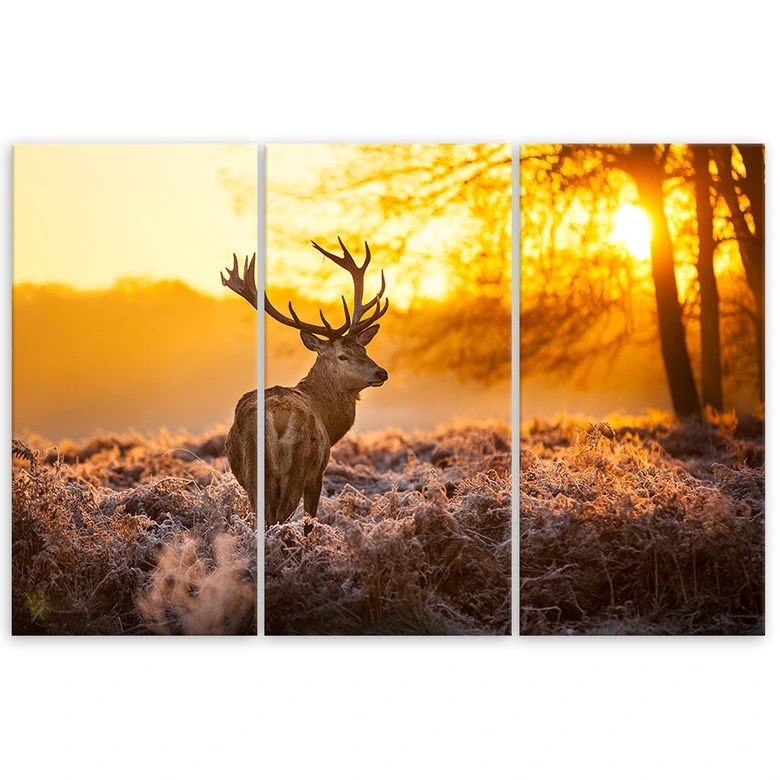 Leinwandbild 3-teilig, Hirschwald Sonnenuntergang 