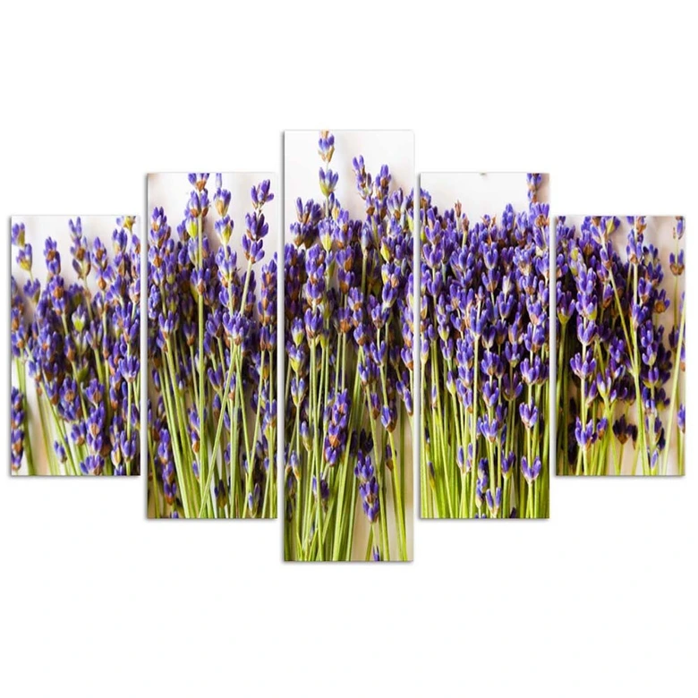 Leinwandbild 5 teilig, Lavendelblüten Natur 