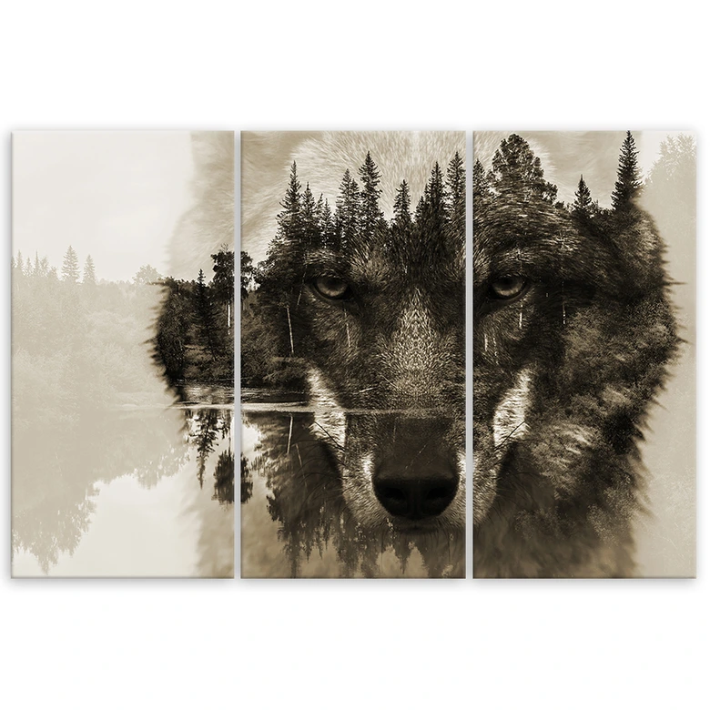 Leinwandbild 3-teilig, Wolf Tiere Schwarz Weiß 