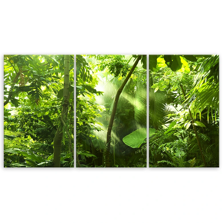 Leinwandbild 3-teilig, Waldblätter Grün 