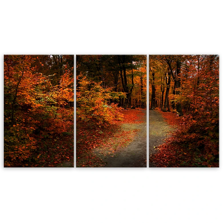 Leinwandbild 3-teilig, Wald Herbstblätter Natur 