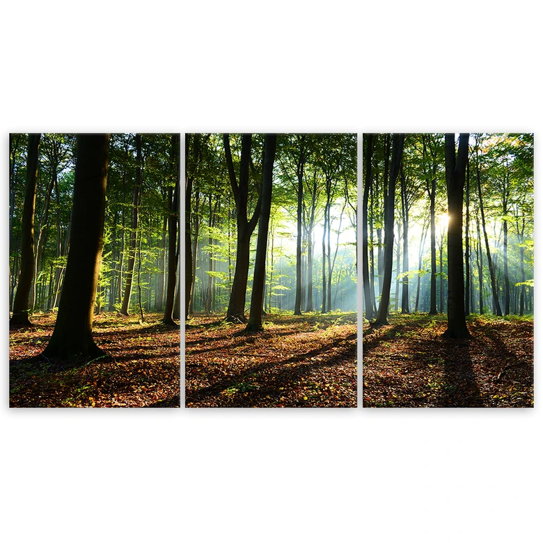 Leinwandbild 3-teilig, Waldgrün Natur 
