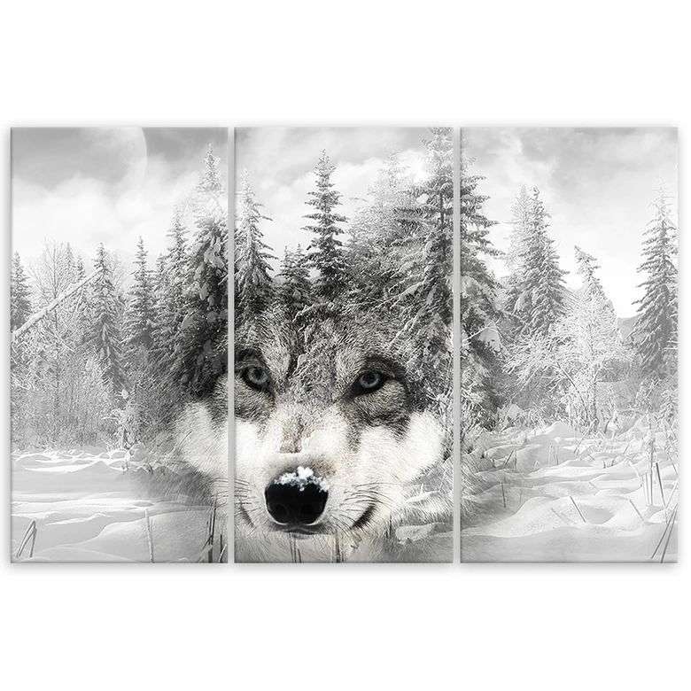 Leinwandbild 3-teilig, Wolf Wald Natur Grau 