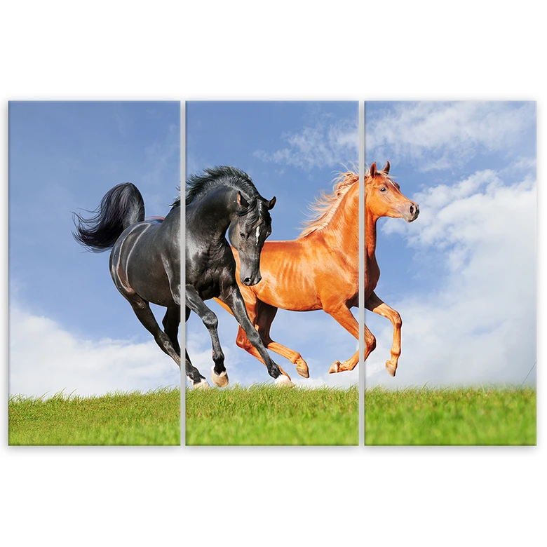 Leinwandbild 3-teilig, Pferde im Galopp 