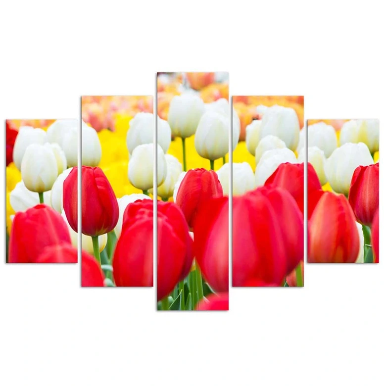 5-delige canvas print tulp rood wit 