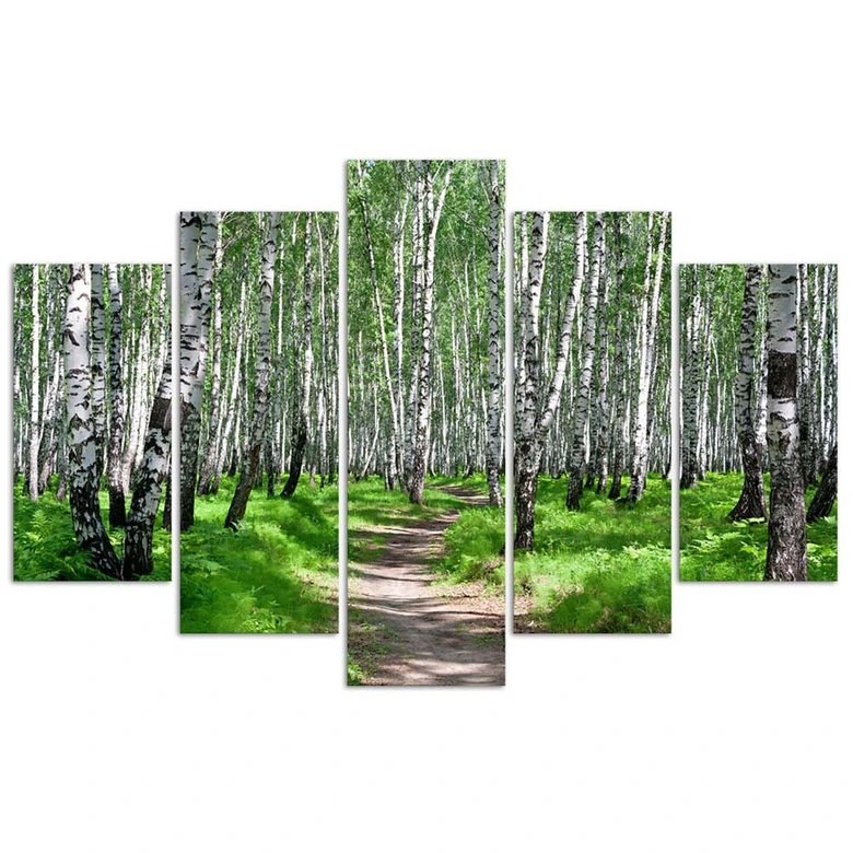Leinwandbild 5 teilig, Birkenwald Natur 