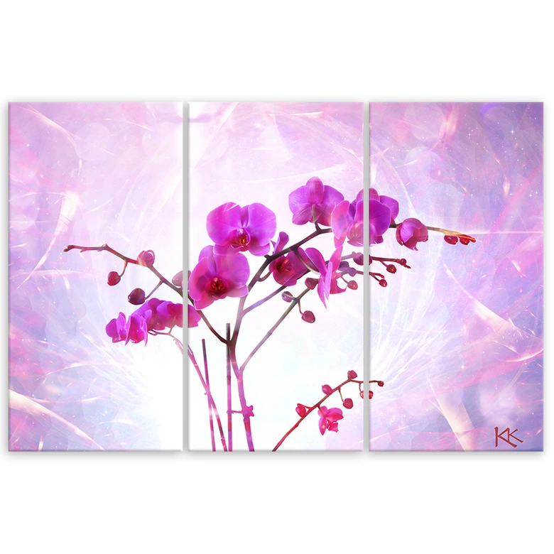 Leinwandbild 3 teilig, Essentielle Orchidee 