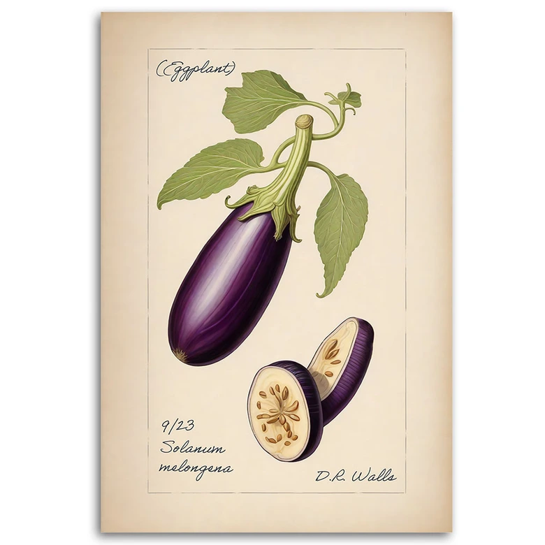 Leinwandbild Gemüse Weinlese Aubergine 