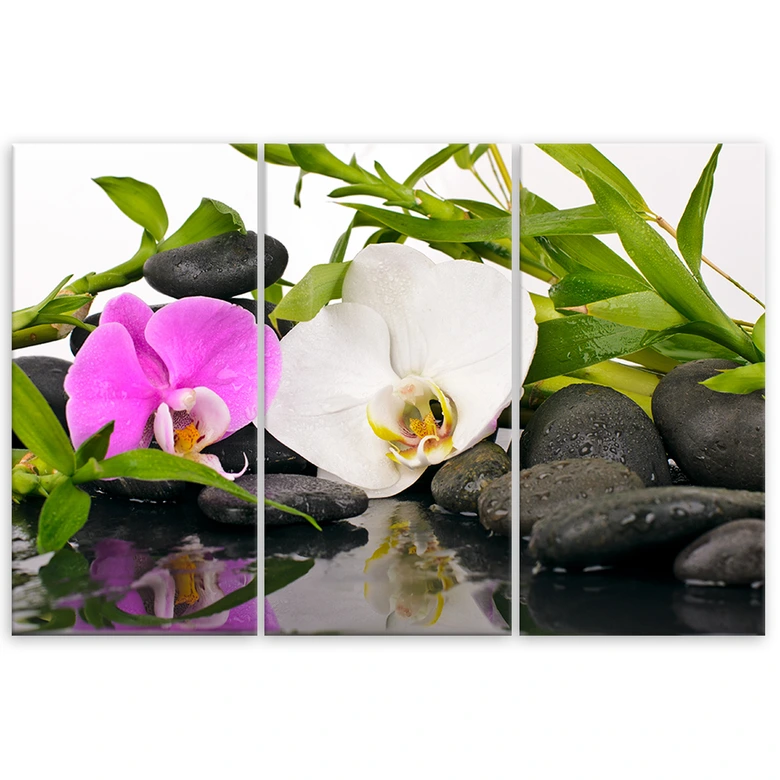 Leinwandbild 3-teilig, Zen Blumen Bambus Stein 