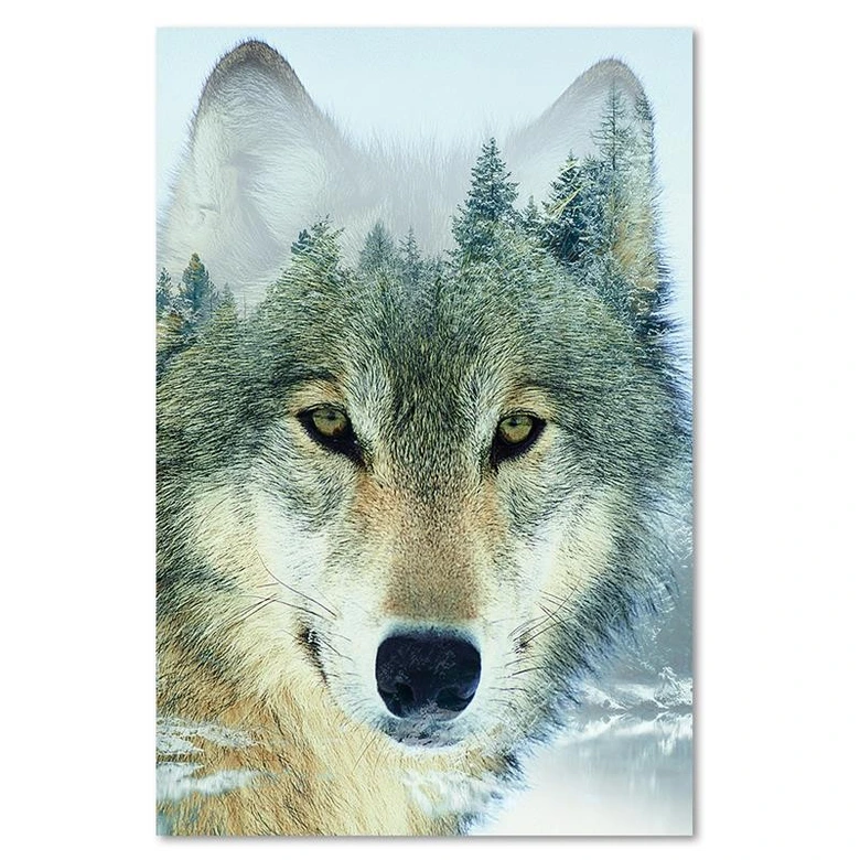 Leinwandbild, Wolf in einem Wald Hintergrund 