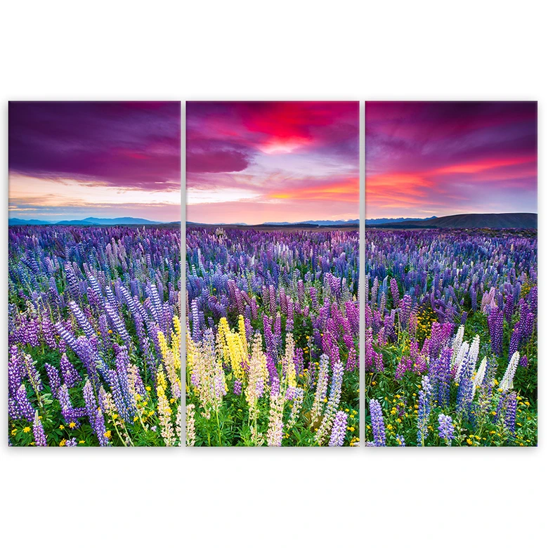 Leinwandbild 3-teilig, Blumenwiese Lavendel Landschaft 
