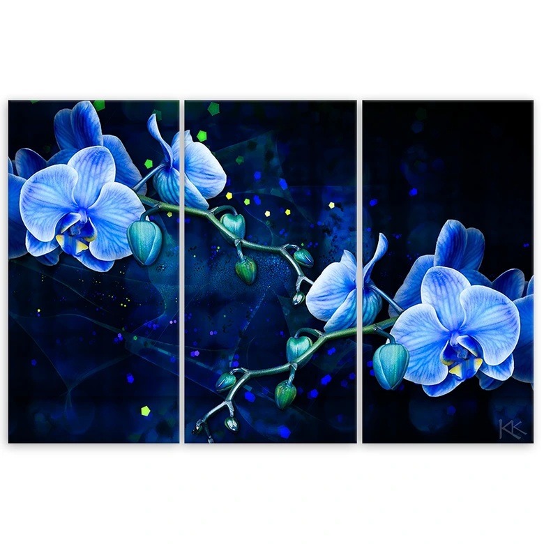 Leinwandbild 3 teilig, Blaue Orchideenblume 