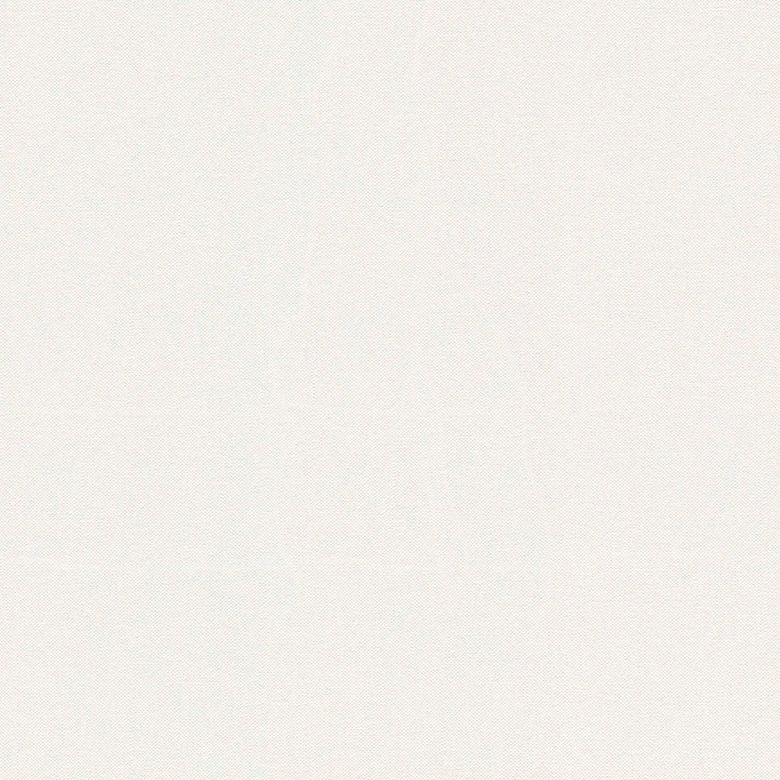 Papier peint uni blanc - Papier peint intissé - Unicolore - A.S. Création 