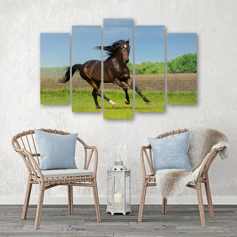 Leinwandbild 5 teilig, Pferd Galoppierende Wiese 