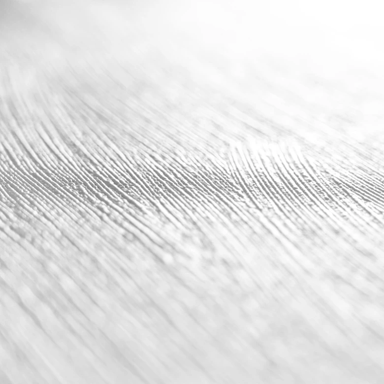 Papier peint intissé couvrant Architects Paper Pigment Classic blanc, couvrant 