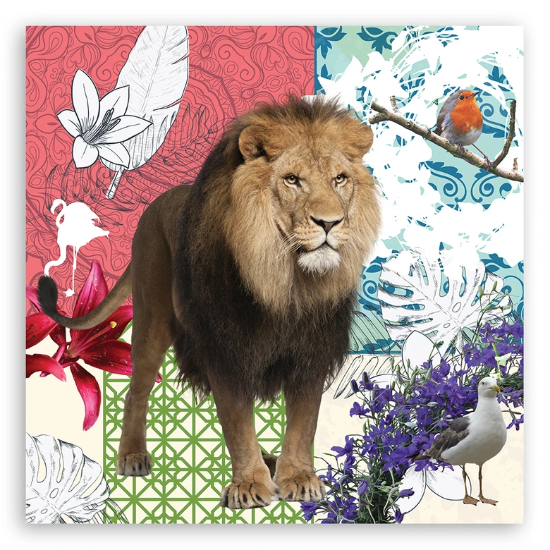 Leinwandbild, Löwe und Vögel Collage 