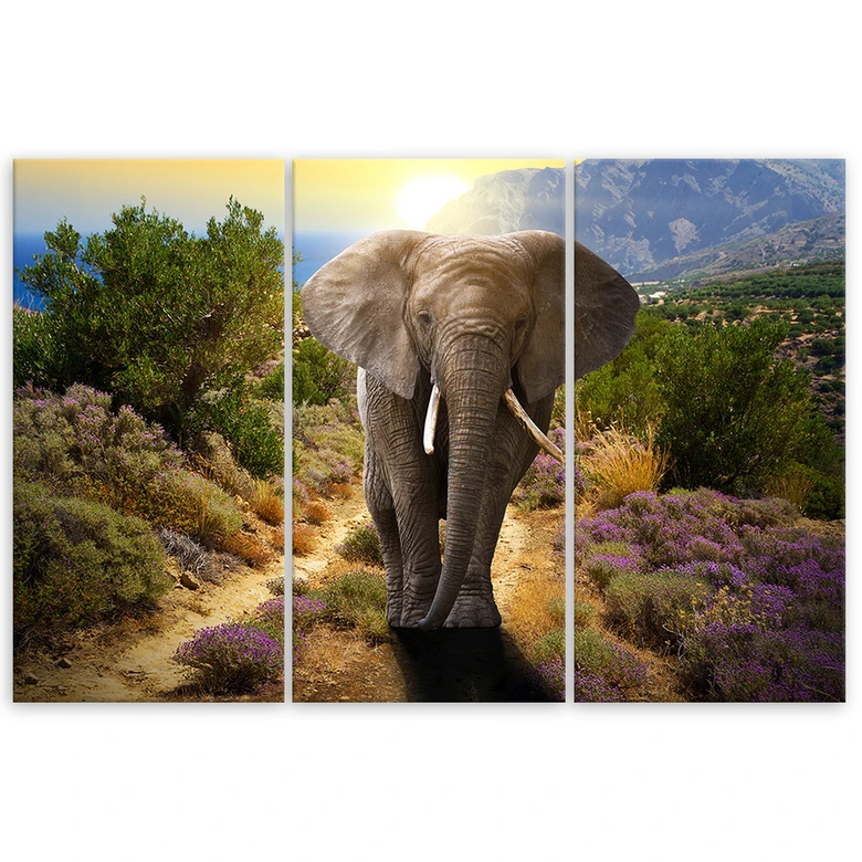 Leinwandbild 3-teilig, Elefanten-Safari Afrika Wildtiere 