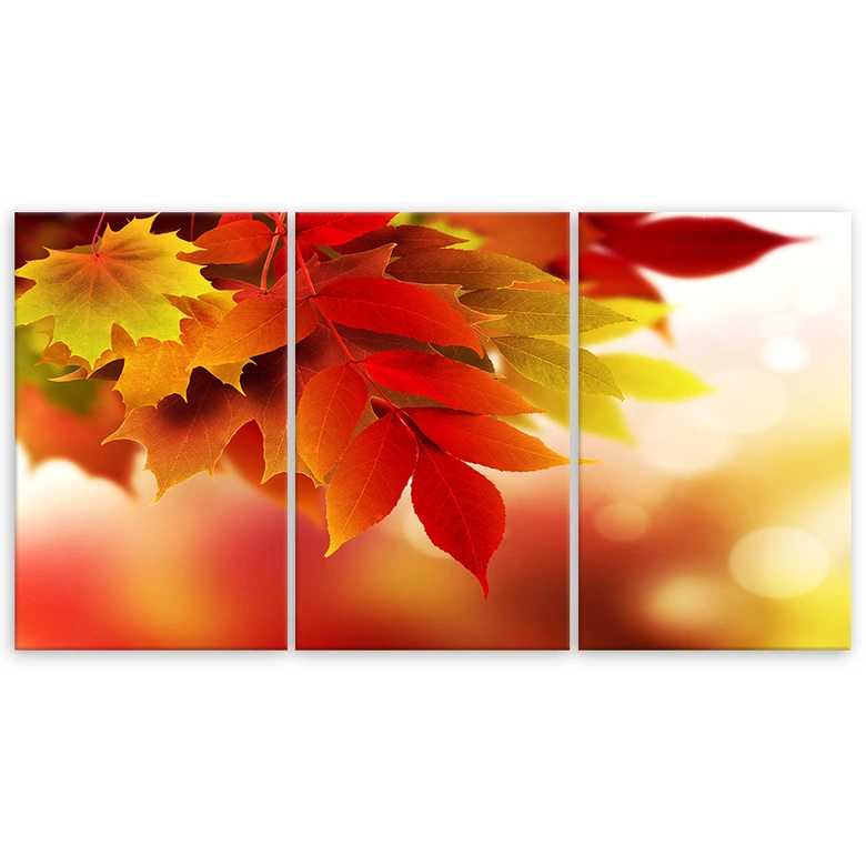 Leinwandbild 3-teilig, Herbstblätter Natur 