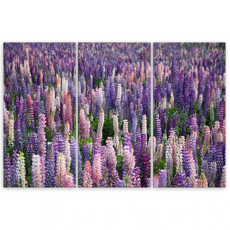Leinwandbild 3-teilig, Lila Blumen Natur Wiese 
