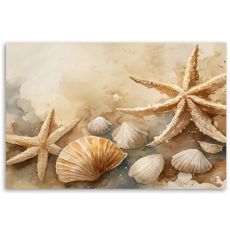 Leinwandbild Meeresmuscheln und Seesterne Acryl 