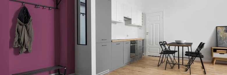 Farba do ścian i sufitów Premium różowa - Matowa farba do ścian wewnętrznych PURO c2008 lovely rose  