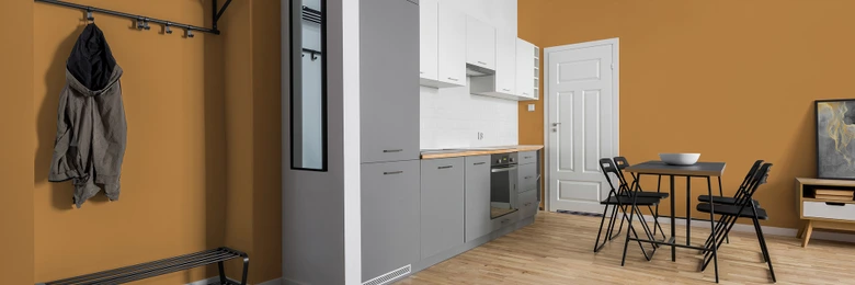 Farba do ścian i sufitów Premium pomarańczowa - Matowa farba do ścian wewnętrznych PURO c8013 gładka szafranowa 