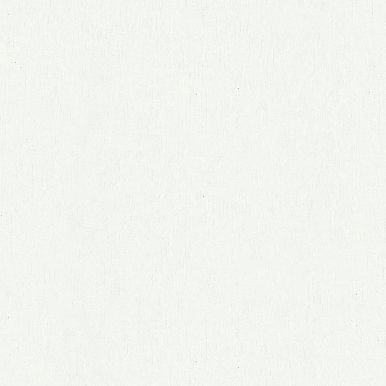 Vliestapete in Weiß Betonoptik Uni Modern 