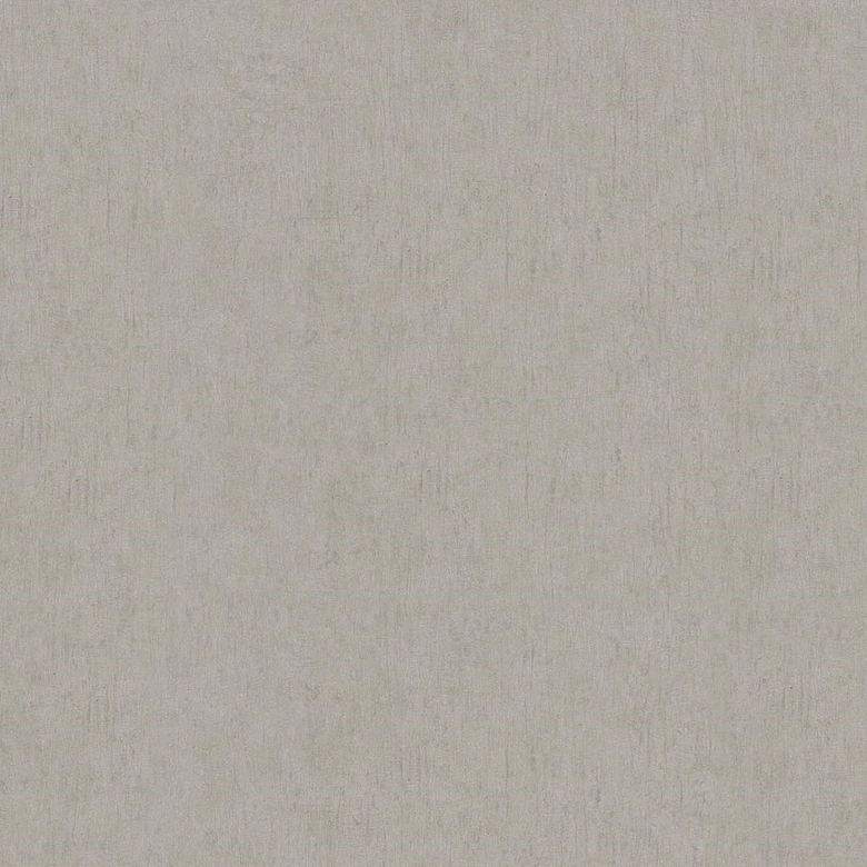 Vliestapete in Grau, Beige Betonoptik Uni Modern 