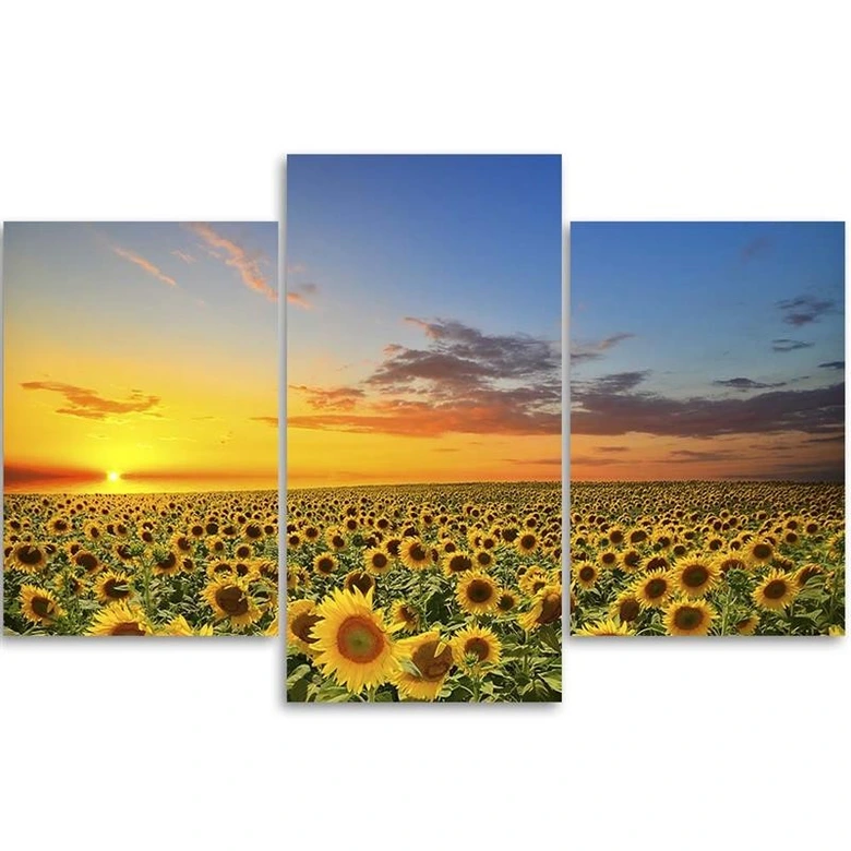 3-delige canvas print, zonnebloemen bloemenweide 