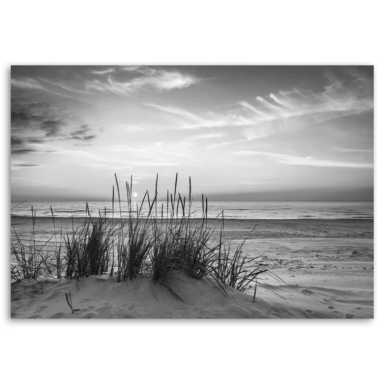 Leinwandbild, Gräser am Strand - schwarz und weiß 