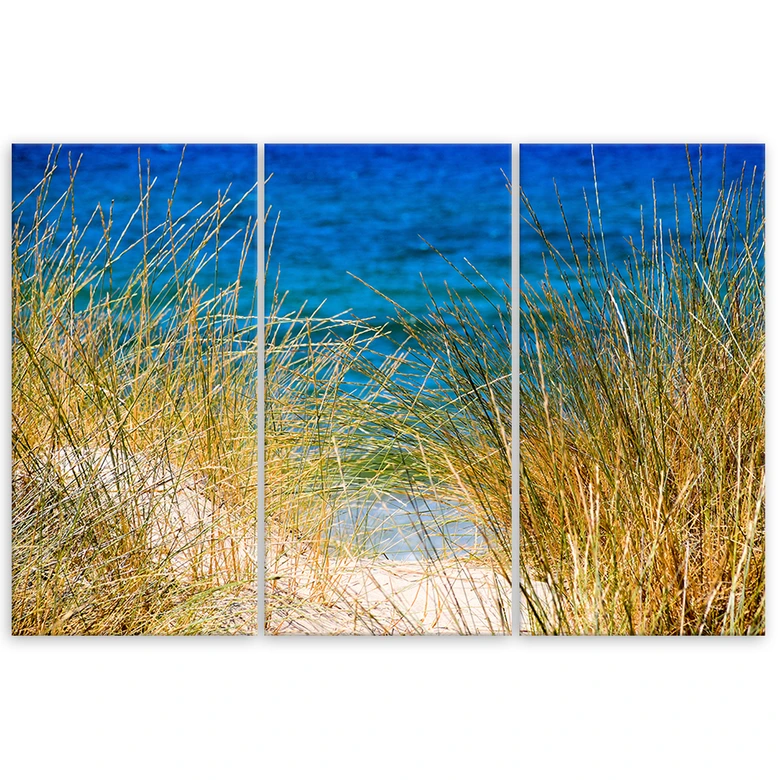 Leinwandbild 3-teilig, Gras Meer Strand 