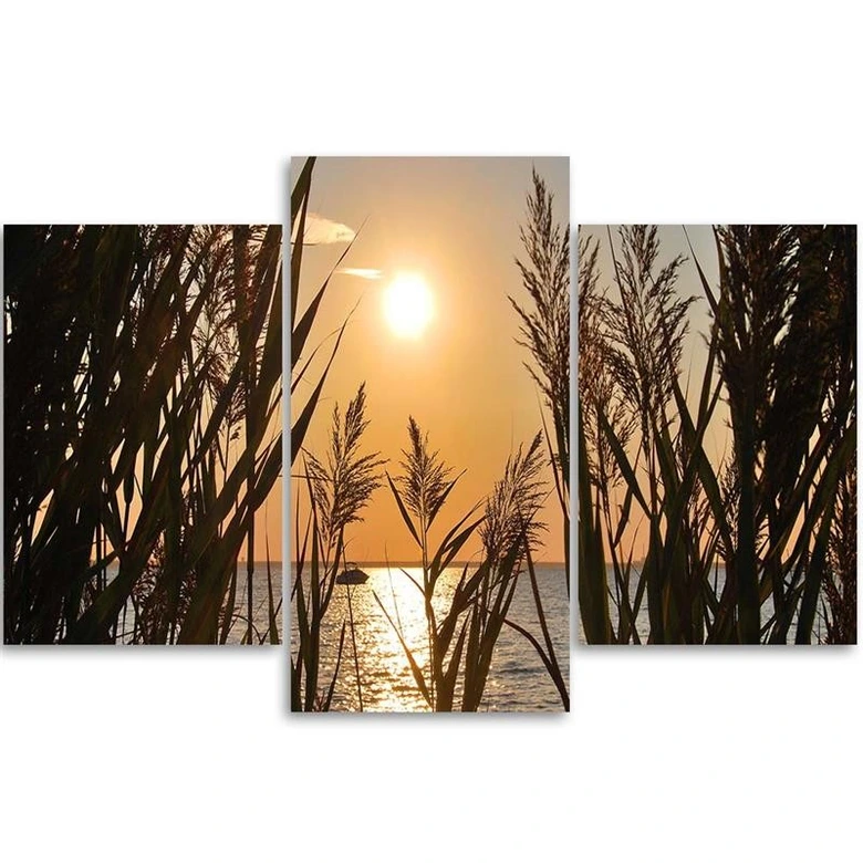 Leinwandbild 3-teilig, See Gras Sonnenuntergang 
