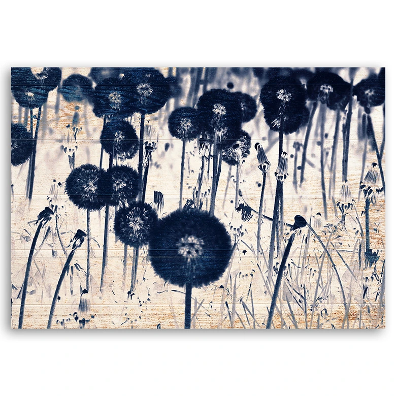 Leinwandbild, Pusteblume auf alten Brettern 