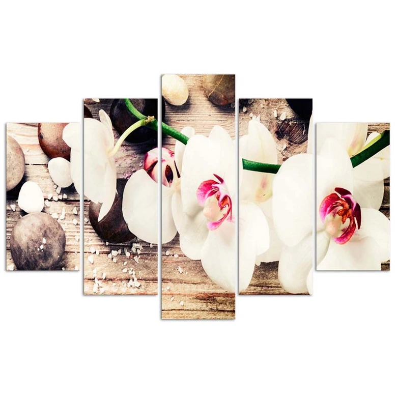 Leinwandbild 5 teilig, Orchidee Steinblume 