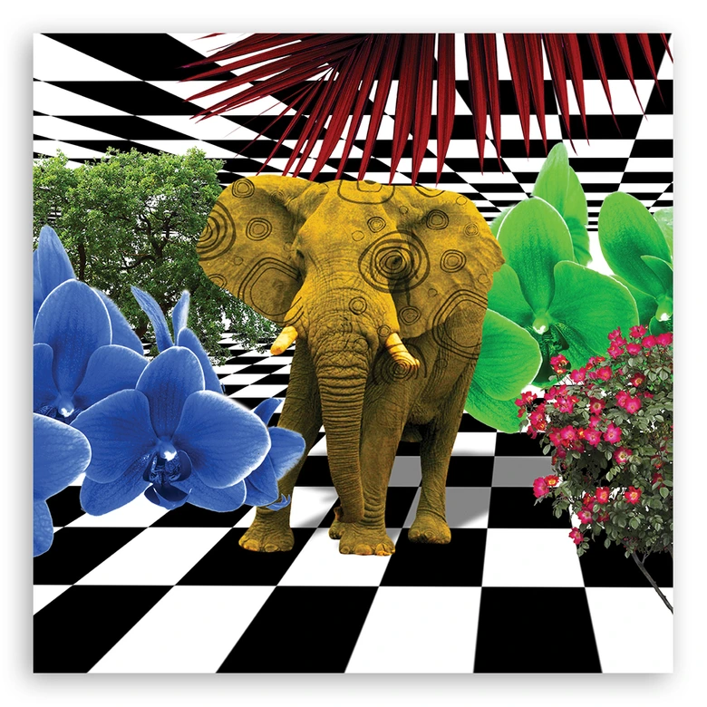 Canvas schilderij, kleurrijke olifant 