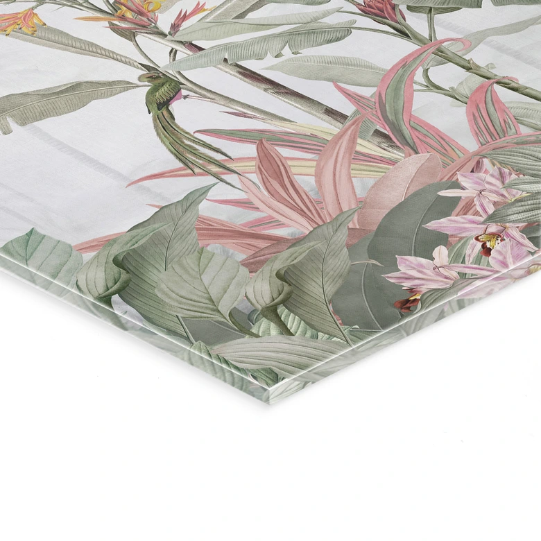 Acrylglasbild Tropische Idylle mit Kolibri Blau - Bloomery Decor 