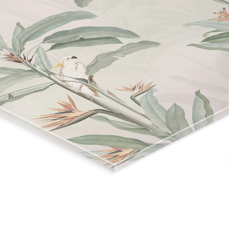 Acrylglasbild Tropischer Wald mit Kakadus - Bloomery Decor 