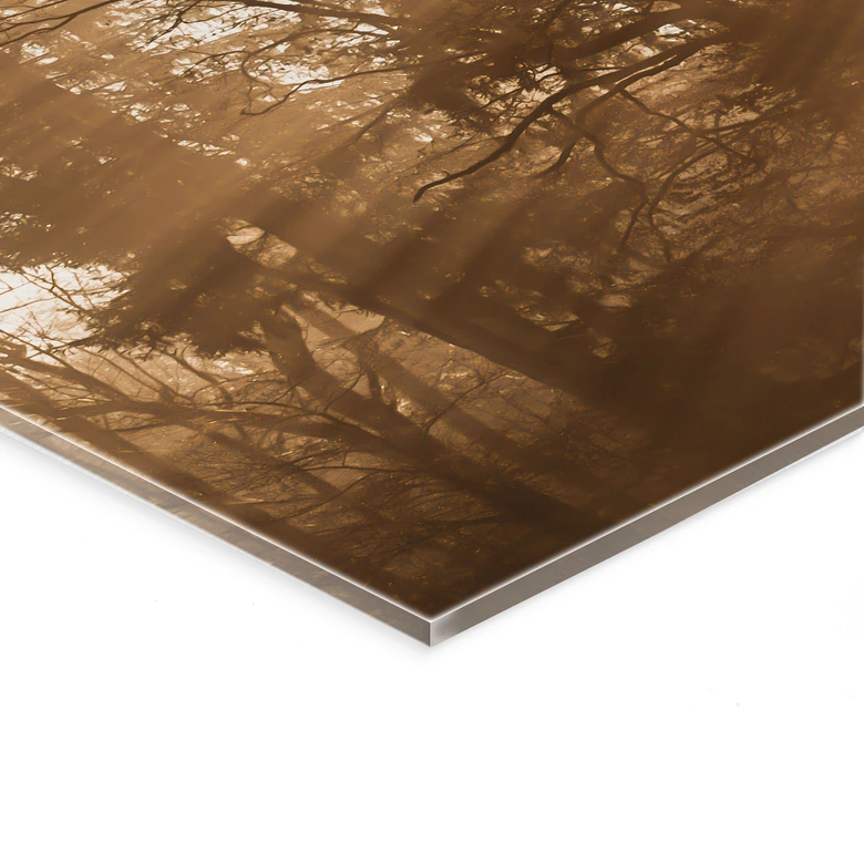 Tableau en verre acrylique Rayons de lumière dans la forêt - Eisenmann 
