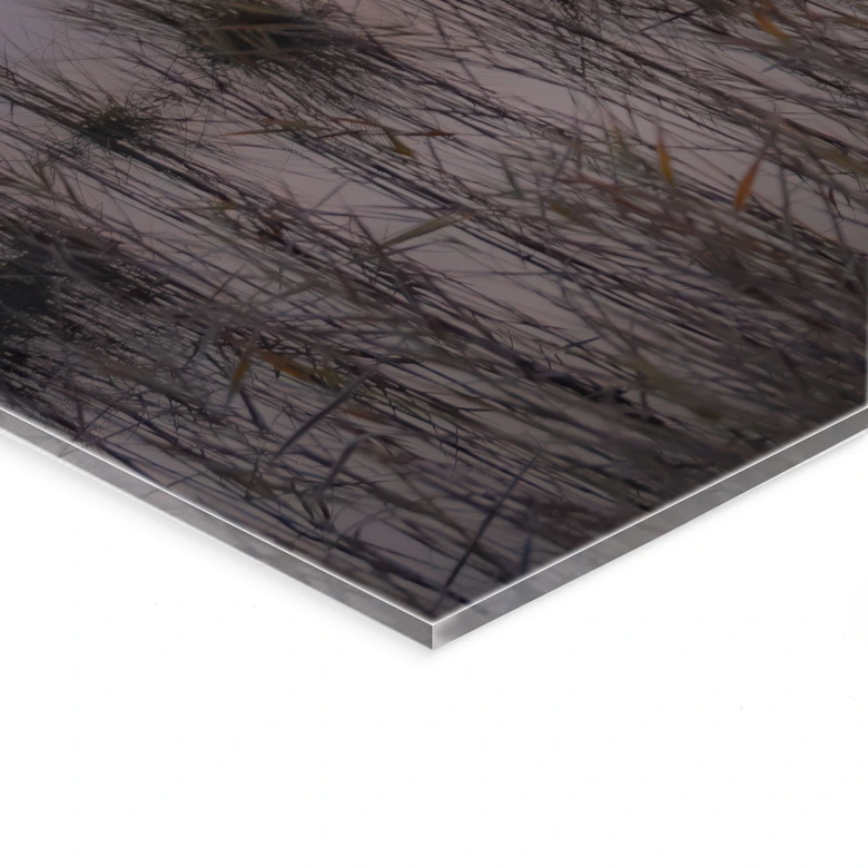 Acrylglasbild Nebliger Herbsttag - Eisenmann 