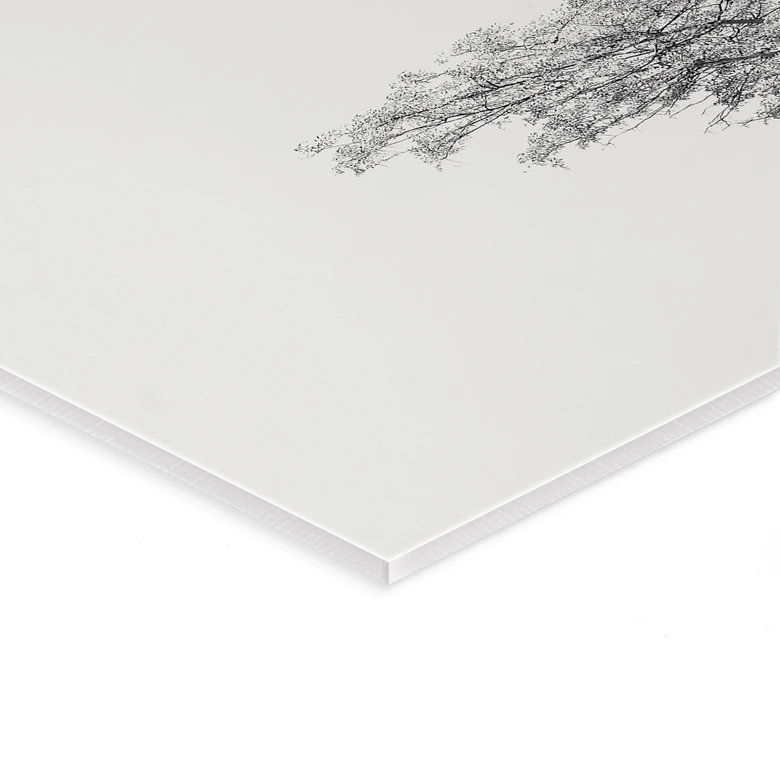 Tableau en verre acrylique Arbre minimaliste dans un paysage calme - Flour 
