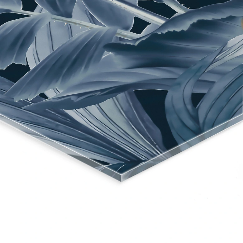 Tableau sur verre acrylique Oiseaux tropicaux dans la forêt la nuit - Haase 