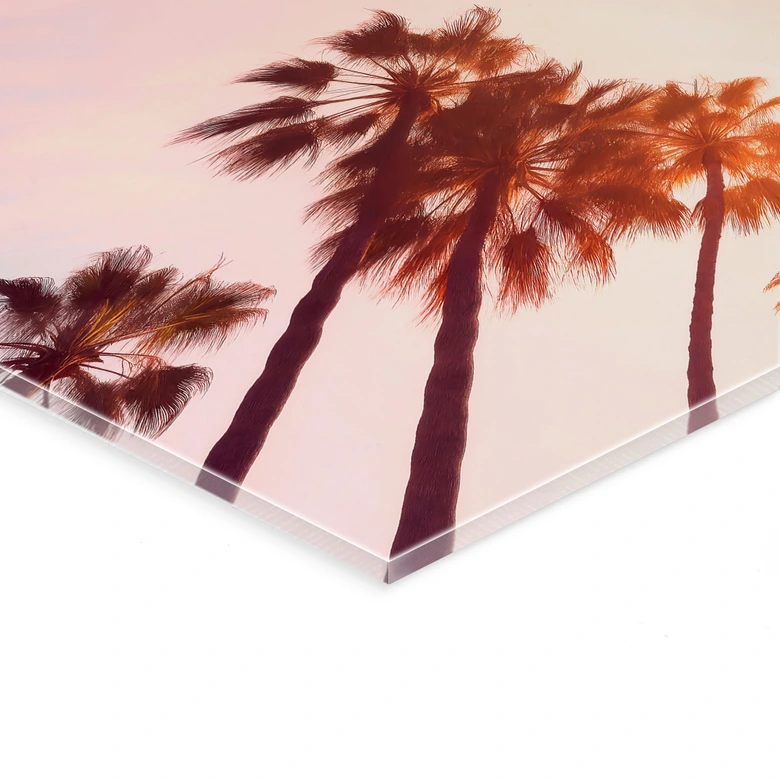 Acrylglasbild California Dreaming mit Palmen-Blick - Hugonnard 